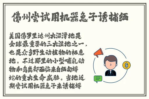 公交车后车座的疯狂的视频